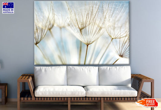 Dandelion Flowers Closeup Photograph Print 100% Australian Made