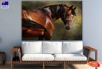 Standing Horse Closeup Print 100% Australian Made