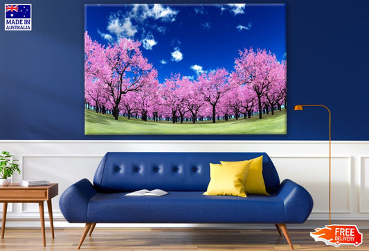 Pink Flower Tree Forest Photograph Print 100% Australian Made