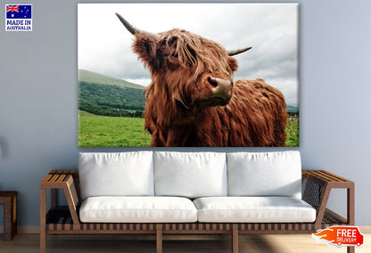 Highland Cow Near Mountain Photograph Print 100% Australian Made