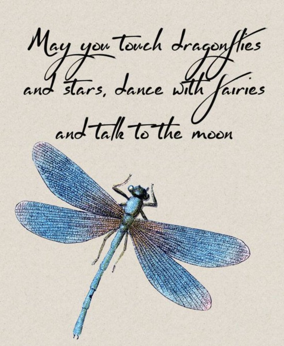 Dragon Fly & Quote Vector Design Print 100% Australian Made