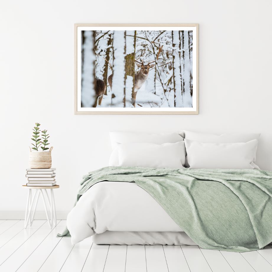 Deer in Snow Covered Forest Home Decor Premium Quality Poster Print Choose Your Sizes