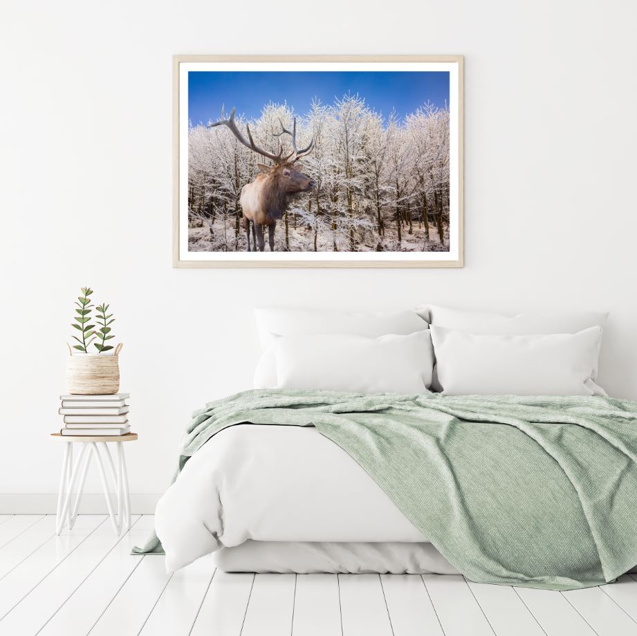 Deer in Snow Covered Forest Home Decor Premium Quality Poster Print Choose Your Sizes