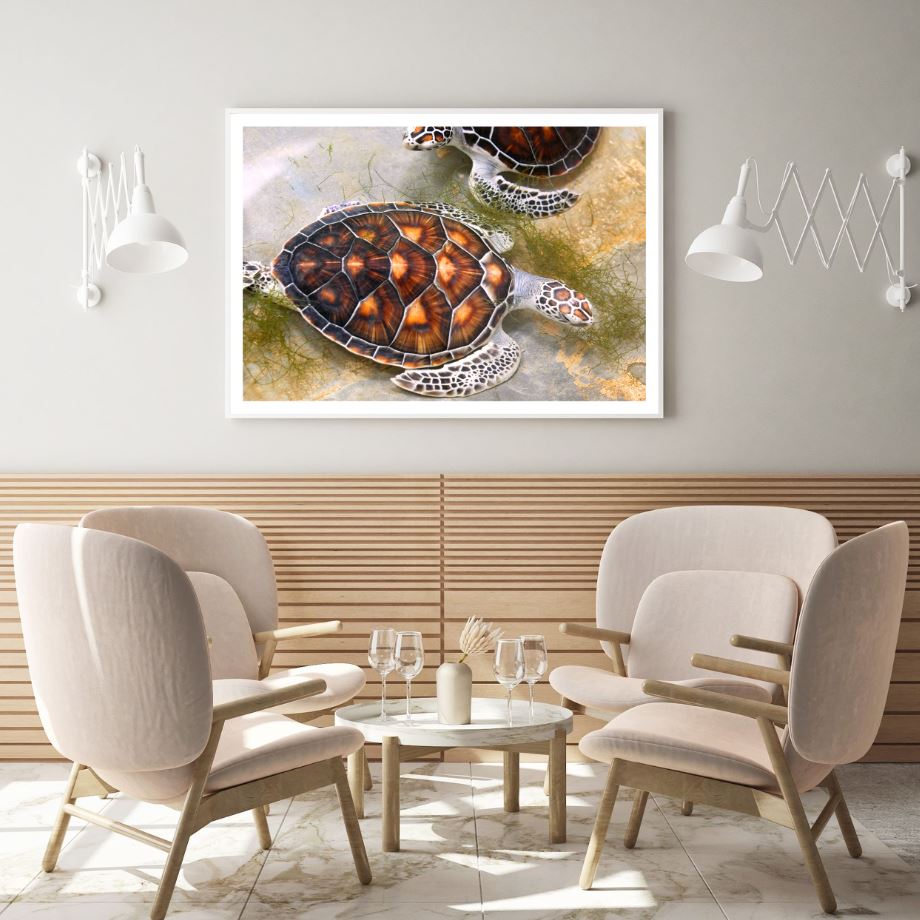 Turtles on Ground Photograph Home Decor Premium Quality Poster Print Choose Your Sizes