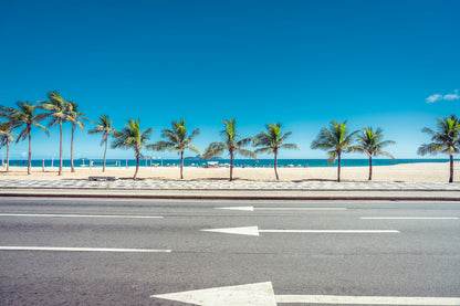 Palm Trees On Road & Sea View Photograph Print 100% Australian Made