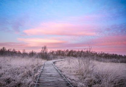 Wooden Foot Path on Grass Sunset Home Decor Premium Quality Poster Print Choose Your Sizes