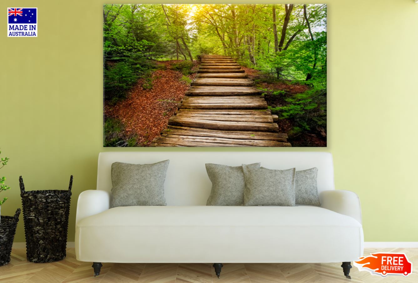 Wooden Foot Path in Forest Photograph Print 100% Australian Made