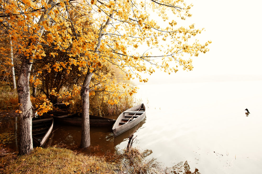 Boat on Lake Near Forest Scenery Photograph Home Decor Premium Quality Poster Print Choose Your Sizes