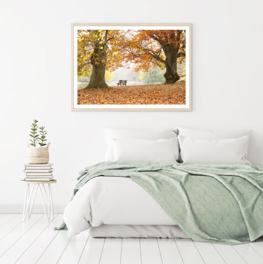 Wooden Bench Under Autumn Trees Photograph Home Decor Premium Quality Poster Print Choose Your Sizes