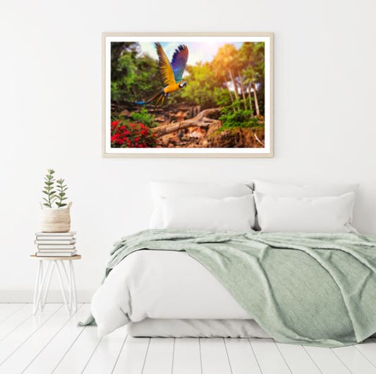 Colorful Macaw Bird Flying Photograph Home Decor Premium Quality Poster Print Choose Your Sizes