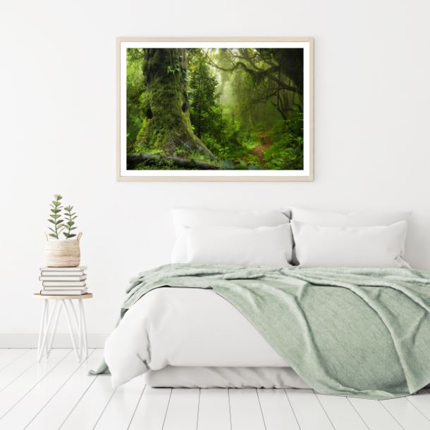 Stunning Deep Forest Photograph Home Decor Premium Quality Poster Print Choose Your Sizes