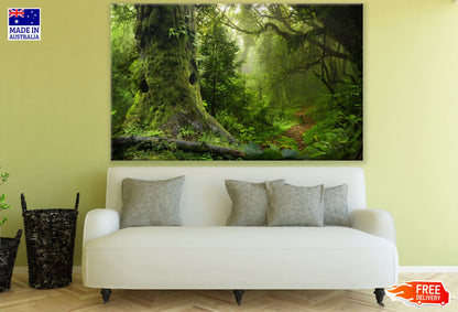 Deep Forest View Photograph Print 100% Australian Made