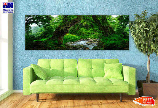 Panoramic Canvas Deep Forest Photograph High Quality 100% Australian made wall Canvas Print ready to hang