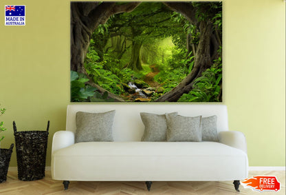 Deep Forest View Photograph Print 100% Australian Made