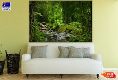 Deep Forest View Photograph Print 100% Australian Made