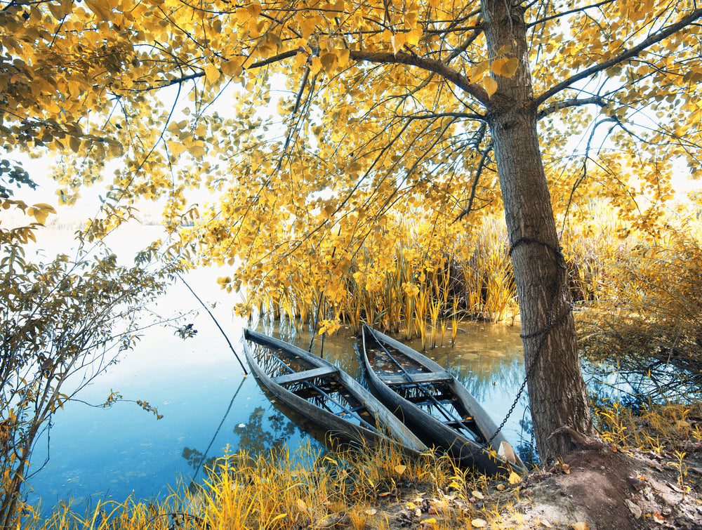 Boat on Lake Near Forest Scenery Photograph Home Decor Premium Quality Poster Print Choose Your Sizes