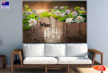 White Lotus Flowers on Lake Photograph Print 100% Australian Made