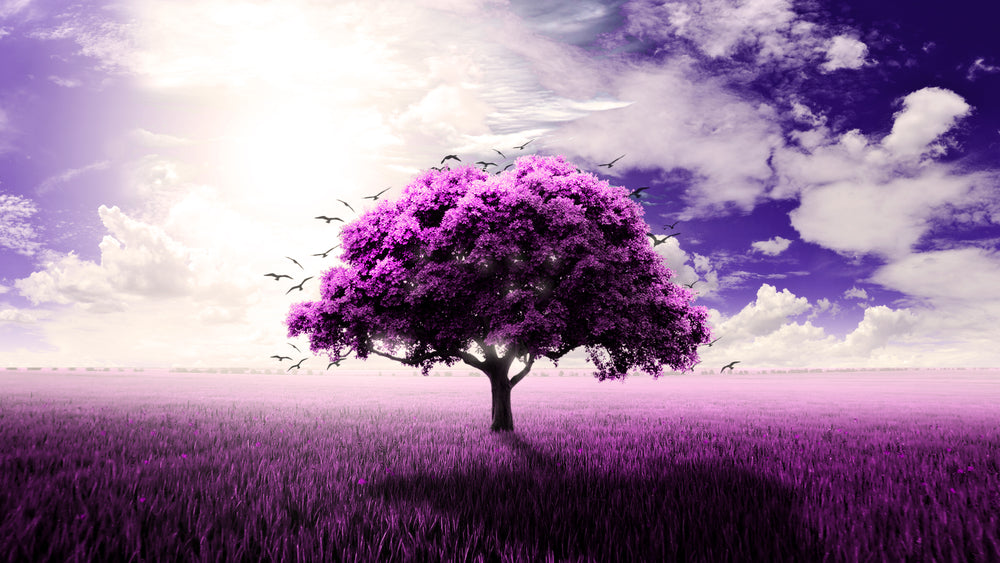 Purple Tree Scenery Design Print 100% Australian Made