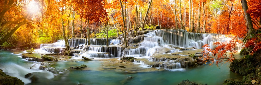 Panoramic Canvas Autumn Forest Waterfall Scenery Photograph High Quality 100% Australian made wall Canvas Print ready to hang