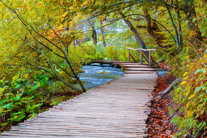 Wooden Pathway Over Water Stream in Forest Photograph Print 100% Australian Made