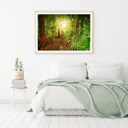 Sunrise Through Forest Photograph Home Decor Premium Quality Poster Print Choose Your Sizes