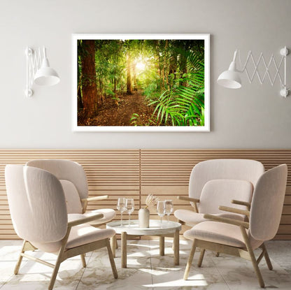 Sunrays in Forest Photograph Home Decor Premium Quality Poster Print Choose Your Sizes