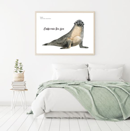 Sea Lion Watercolor Painting Home Decor Premium Quality Poster Print Choose Your Sizes
