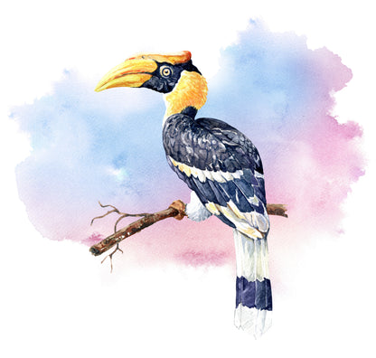 Square Canvas Great Hornbill Bird Watercolor Painting High Quality Print 100% Australian Made