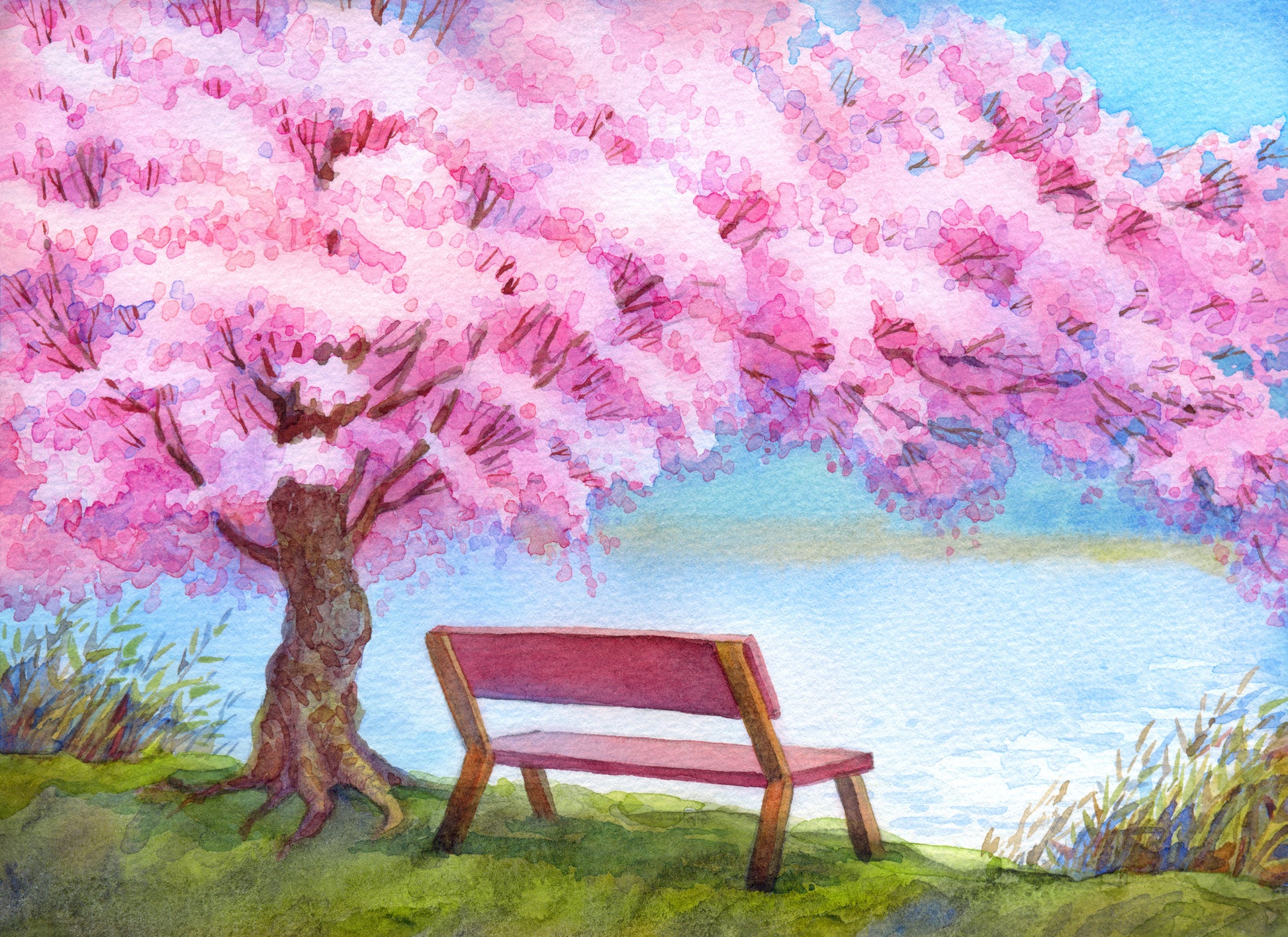 Bench Under Pink Flower Tree Watercolor Painting Print 100% Australian Made