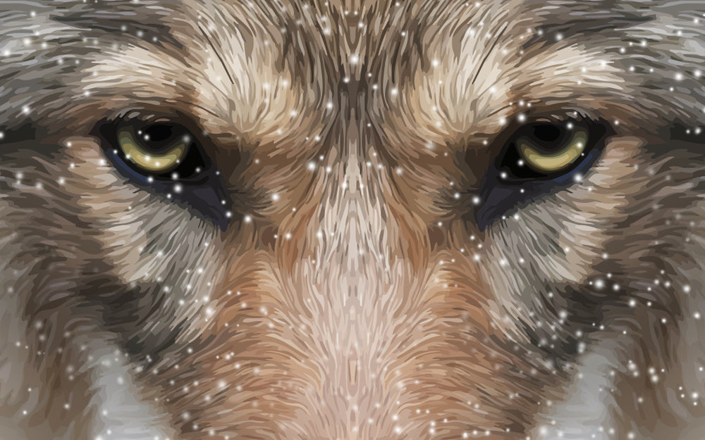 Wolf Face Portrait Design Print 100% Australian Made