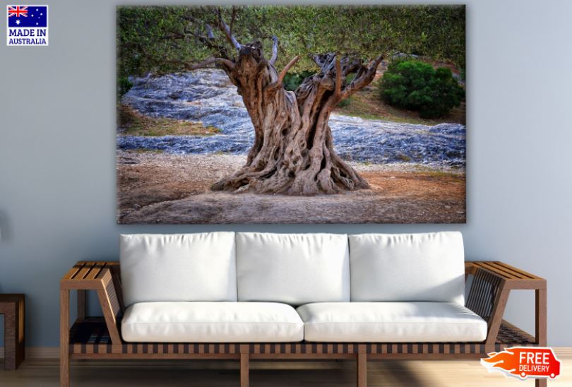 Tree Photograph Print 100% Australian Made