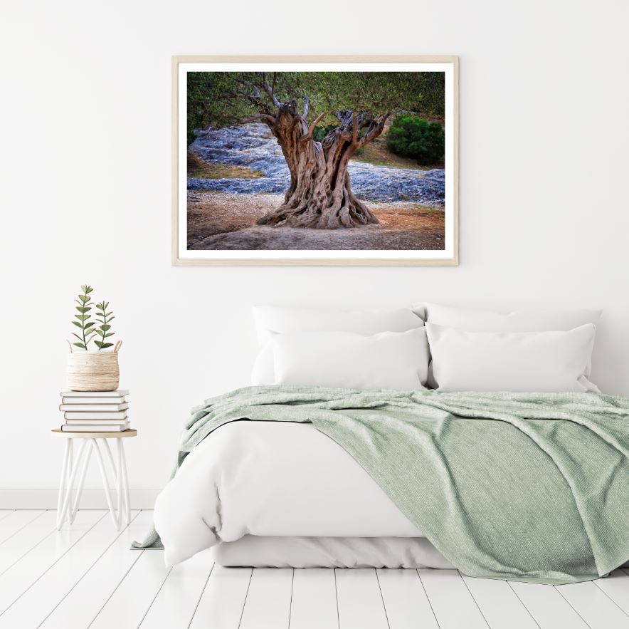 Huge Tree Closeup Photograph Home Decor Premium Quality Poster Print Choose Your Sizes