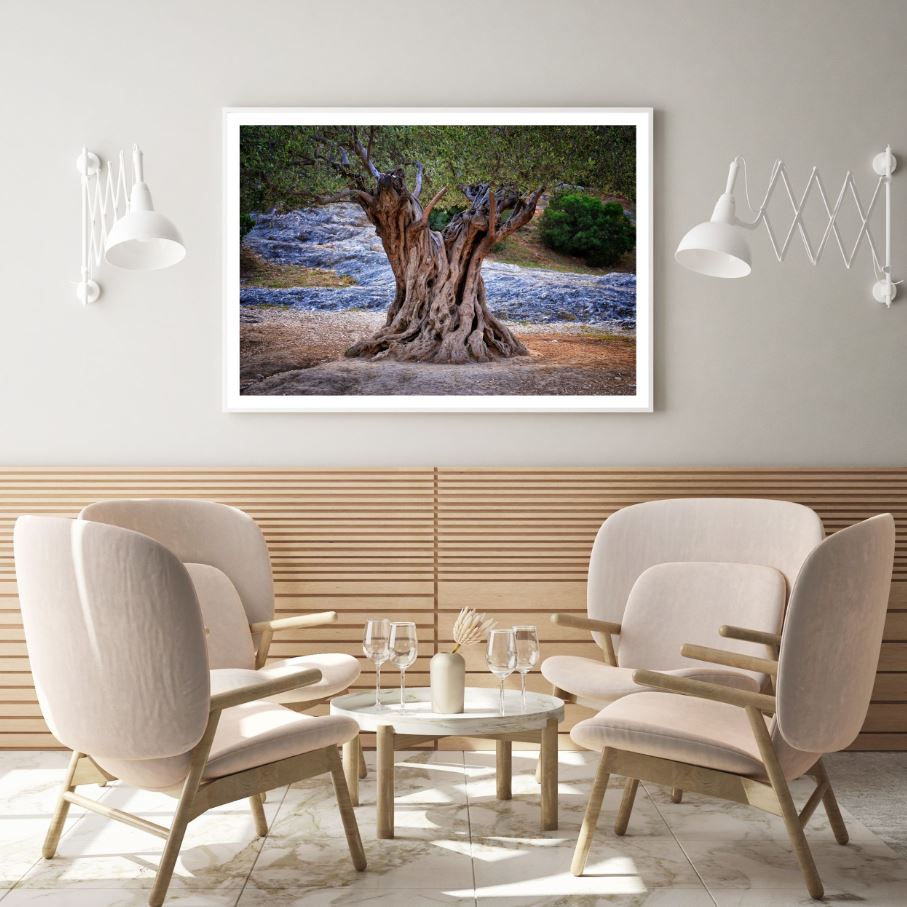 Huge Tree Closeup Photograph Home Decor Premium Quality Poster Print Choose Your Sizes