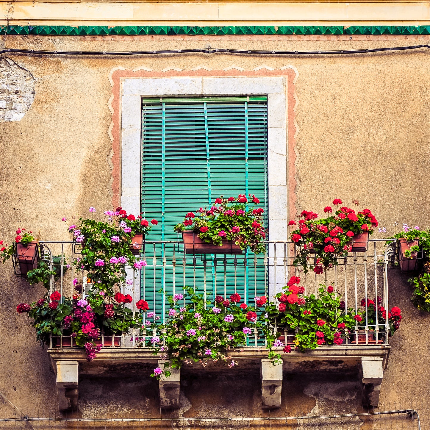 Square Canvas Window with Flower Vases Photograph High Quality Print 100% Australian Made