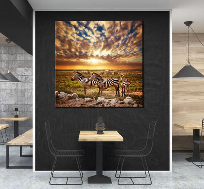 Square Canvas Zebras at Sunset Photograph High Quality Print 100% Australian Made