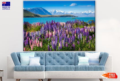 Llupins Flowers Near Mountain Lake Photograph Print 100% Australian Made