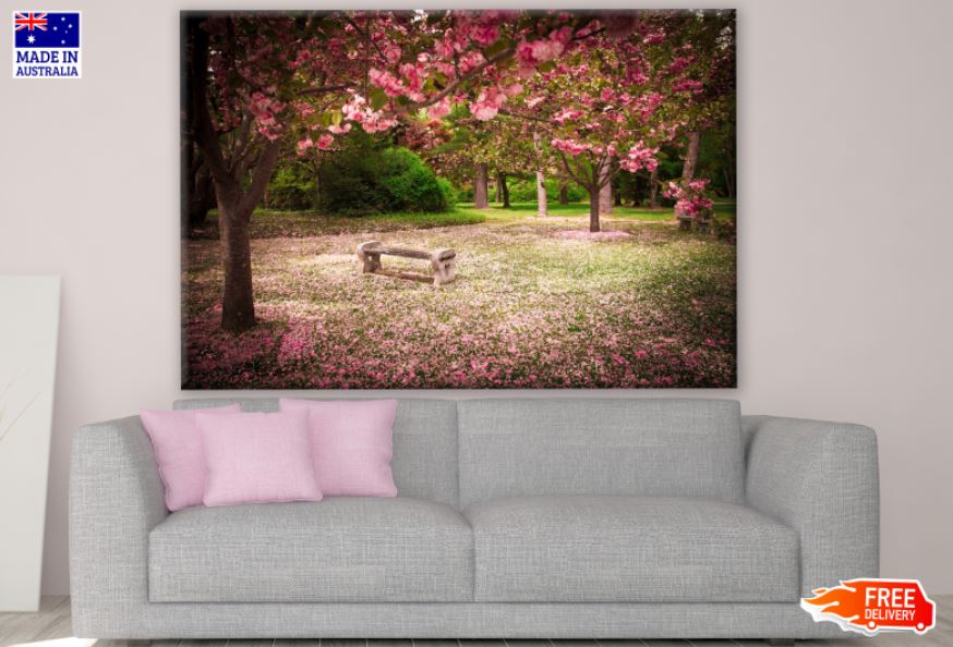 Bench on Blossom Tree Park Photograph Print 100% Australian Made