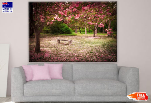 Bench on Blossom Tree Park Photograph Print 100% Australian Made