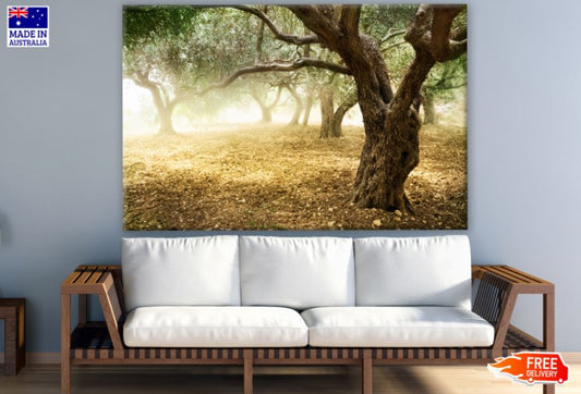 Autumn Trees Forest Photograph Print 100% Australian Made