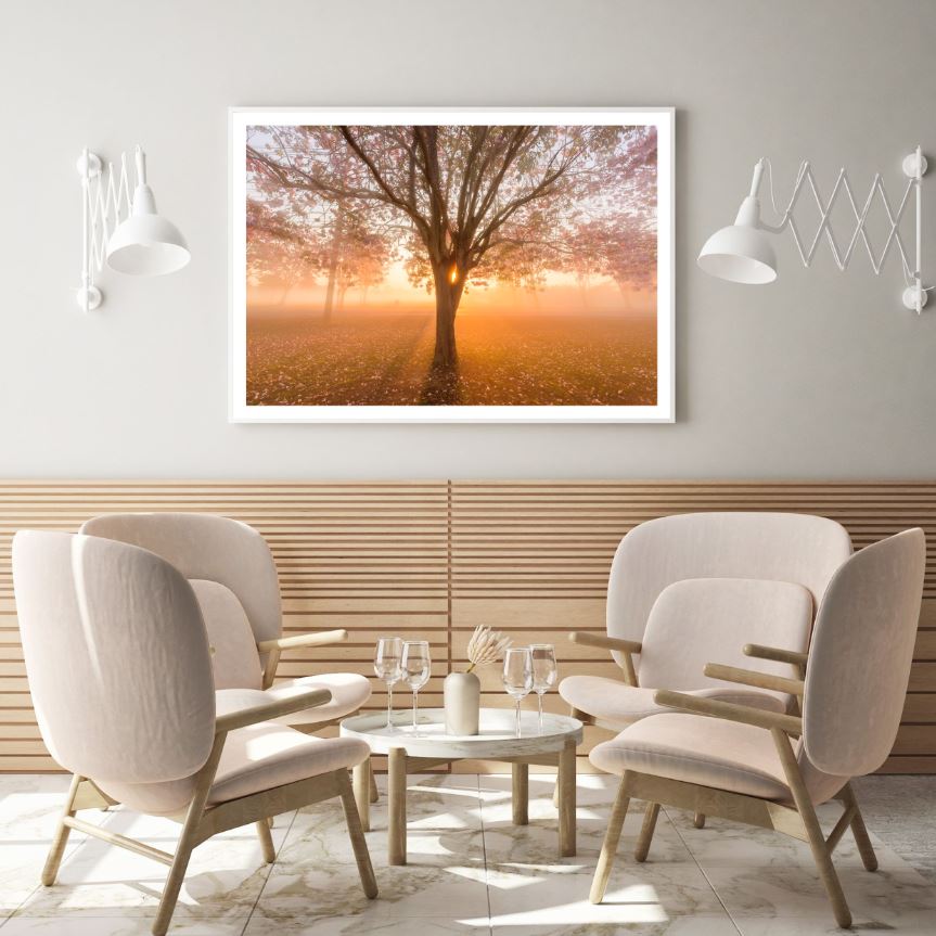 Sunset Forest Scenery Photograph Home Decor Premium Quality Poster Print Choose Your Sizes