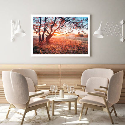 Sunset Forest Scenery Photograph Home Decor Premium Quality Poster Print Choose Your Sizes