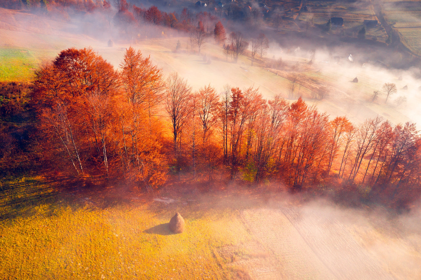 Autumn Forest Aerial View Scenery Photograph Home Decor Premium Quality Poster Print Choose Your Sizes