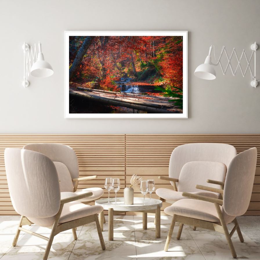 Autumn Forest Scenery Photograph Home Decor Premium Quality Poster Print Choose Your Sizes