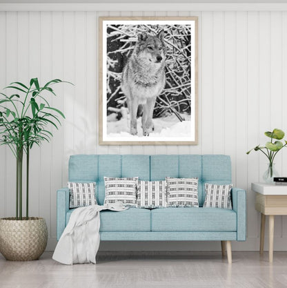 Wolf in Snow Forest B&W Photograph Home Decor Premium Quality Poster Print Choose Your Sizes