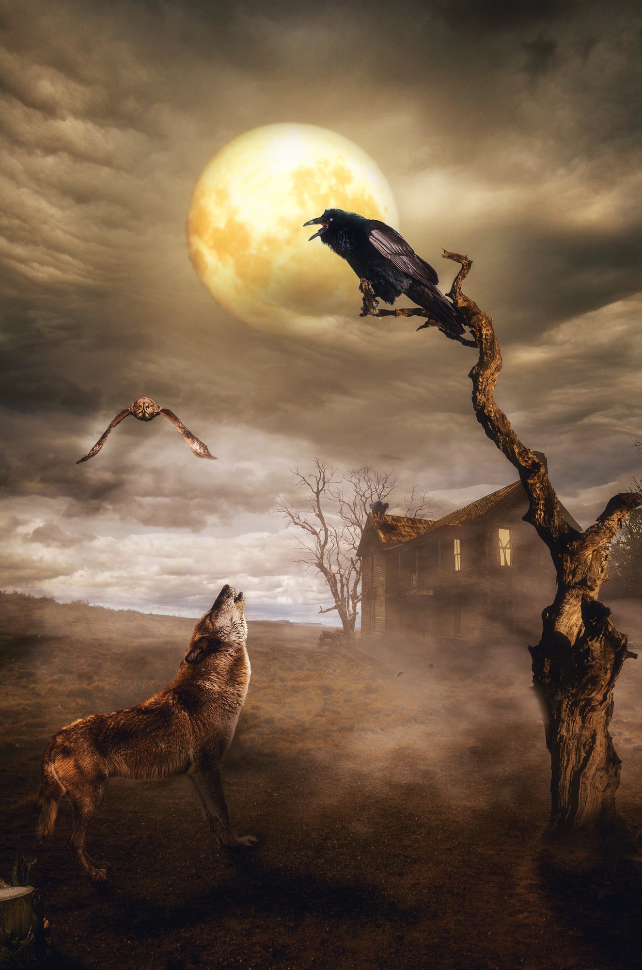 Wolf & Crow with House & Tree Home Decor Premium Quality Poster Print Choose Your Sizes