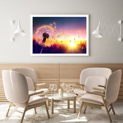 Dandelion Flower At Sunset View Photograph Home Decor Premium Quality Poster Print Choose Your Sizes