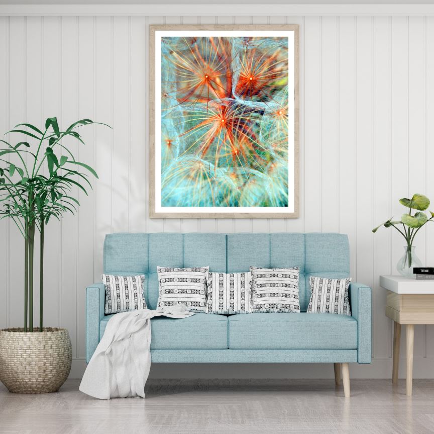 Dandelion Flowers Closeup View Photograph Home Decor Premium Quality Poster Print Choose Your Sizes