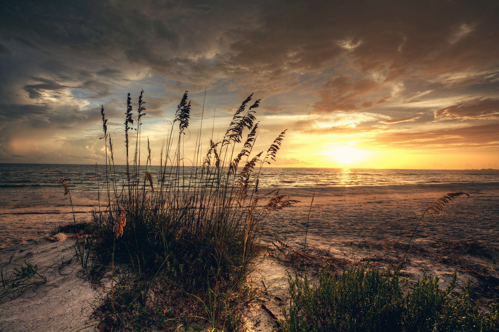 Grass & Sea Scenery Sunset Photograph Home Decor Premium Quality Poster Print Choose Your Sizes