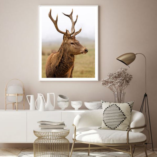 Deer Portrait Photograph Home Decor Premium Quality Poster Print Choose Your Sizes