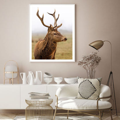 Deer Portrait Face Photograph Home Decor Premium Quality Poster Print Choose Your Sizes